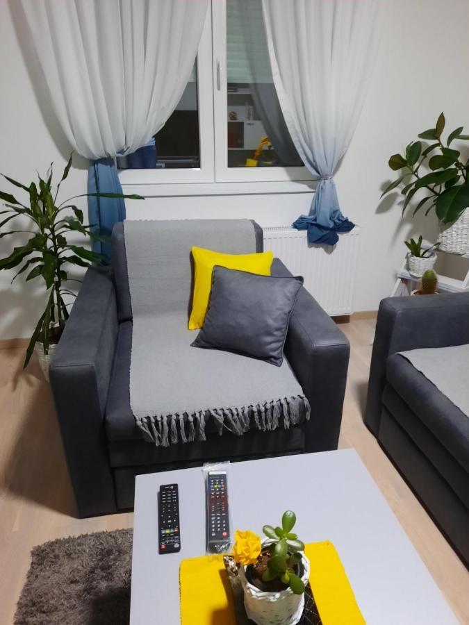 Sunce Apartment Krusevac Bagian luar foto