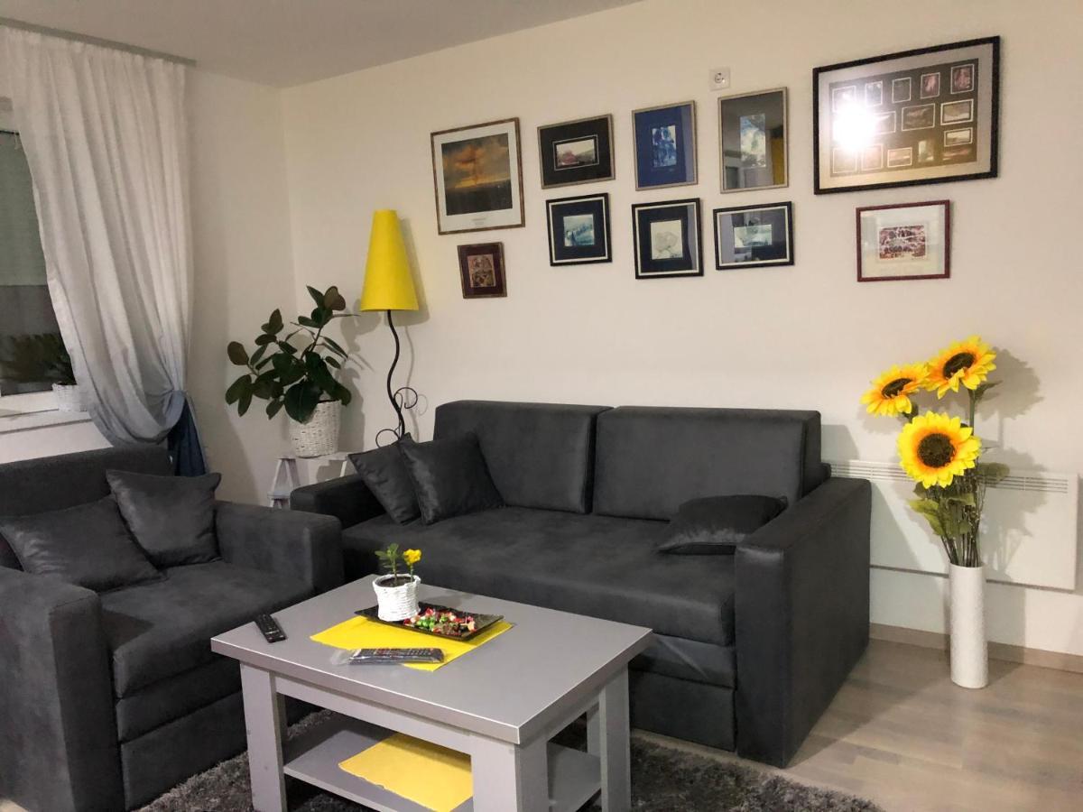 Sunce Apartment Krusevac Bagian luar foto